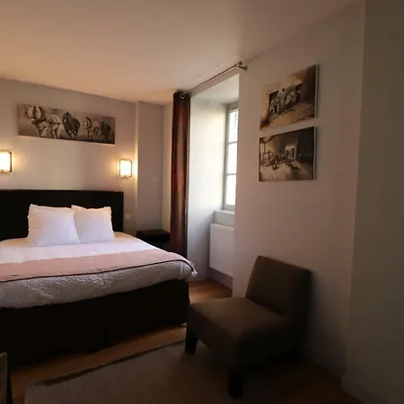 Le Doyenne - Entree Autonome - Hypercentre Bed & Breakfast 2*