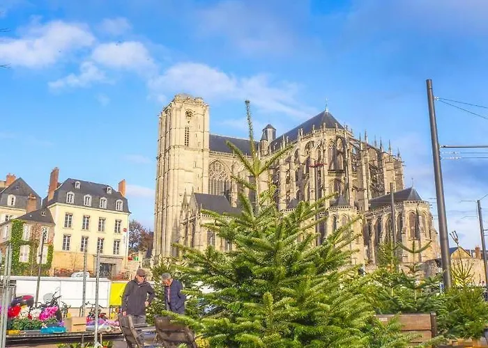 Bed & Breakfast Le Doyenne - Entree Autonome - Hypercentre