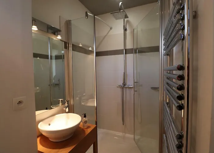 Le Doyenne - Entree Autonome - Hypercentre Le Mans