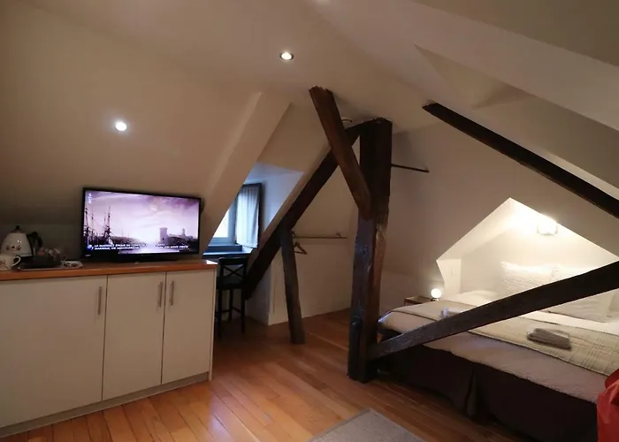 Le Doyenne - Entree Autonome - Hypercentre