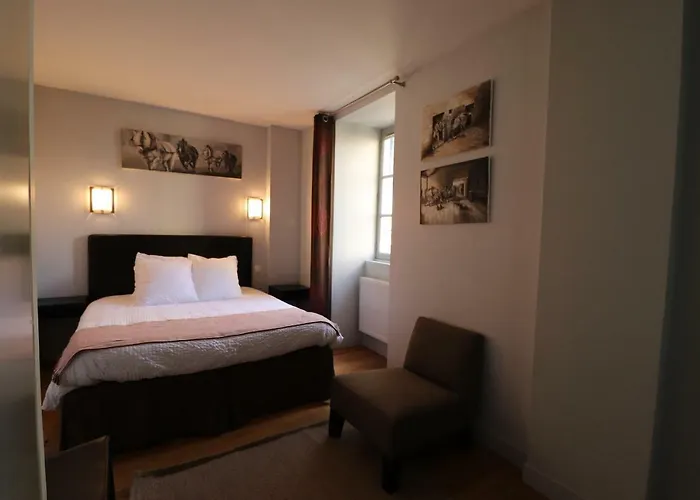 Le Doyenne - Entree Autonome - Hypercentre Bed and breakfast 2*