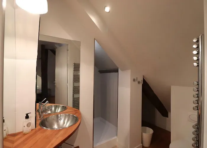 Le Doyenne - Entree Autonome - Hypercentre Bed & Breakfast