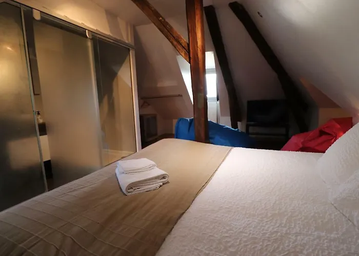 Le Doyenne - Entree Autonome - Hypercentre Bed and breakfast 2*